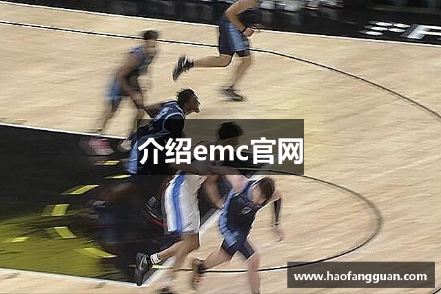 介绍emc官网